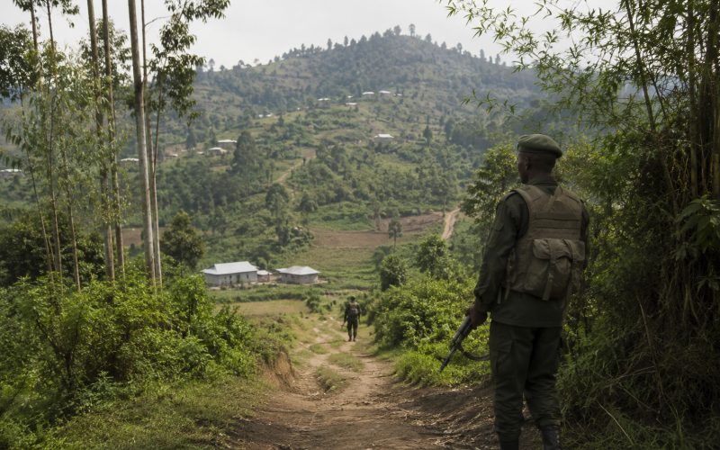 Est de la RDC : les conflits armés aggravent les pressions sur la faune sauvage et les écosystèmes locaux