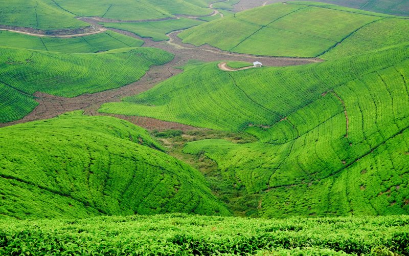 Foncier et Agriculture