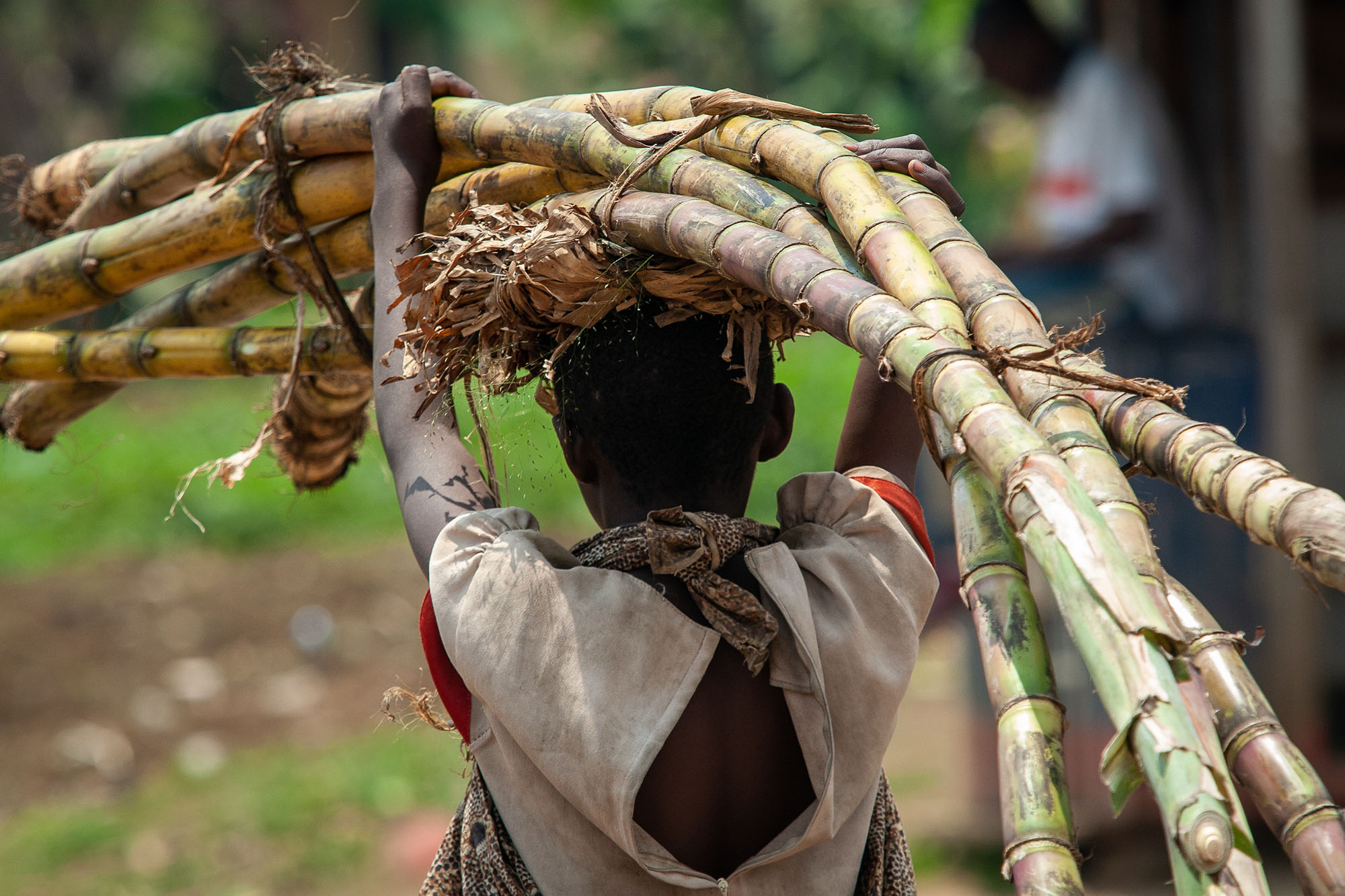 Projet sur les politiques agricoles et les transformations rurales en RDC
